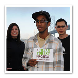 Urban Forest Project banner mentorship